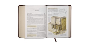 Biblia de Cuero Genuino de Alta Calidad, Edición Chrétien De Luxe, con Cubierta Grabada en Relieve, Lomo Repujado, Papel Reciclado, para Trabajo Misionero, Atemporal - Product Image 3