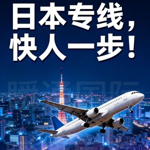 Stex Japan Express LCL Luft- und Seefracht China nach Japan inklusive Zollabfertigung für allgemeine Waren - Product Image 2