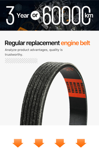 Masuma 4pk-855 Groothandel Nieuw Ontwerp Industriële Rubber 8pk 10pk Geribbelde Riem Ventilator V-Geribbelde Riem Voor Auto 'S - Product Image 6