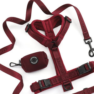 Ontsnappingsbestendige, duurzame, op maat gemaakte hondenriem en -halsbandset, heavy-duty, verstelbaar, zacht gevoerd, grote hondenharnas, anti-trek - Product Image 3