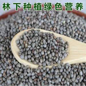 Семена масла для наполнения фруктов периллы - Product Image 2