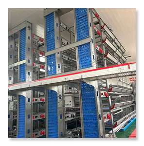 Meilleure Qualité Bon Prix Oeufs Poules Pondeuses Élevage De Poulets Poulailler Batterie Cage à vendre - Product Image 6