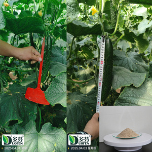 <span class=keywords><strong>Engrais</strong></span> à base de zinc <span class=keywords><strong>riche</strong></span> <span class=keywords><strong>en</strong></span> éléments organiques tels que le calcium, le magnésium, le zinc, le <span class=keywords><strong>potassium</strong></span> <span class=keywords><strong>et</strong></span> le <span class=keywords><strong>phosphore</strong></span>, adapté aux melons - Product Image 1