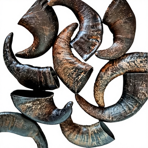 Mordedor de Cuerno de Búfalo para Perros, Ecológico, Grande, Corte Tuffie, Hecho en India, faizacraft - Product Image 4