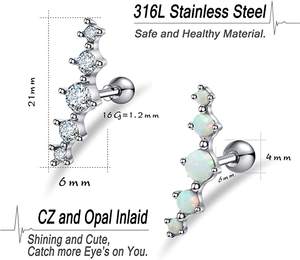 Sexo 2025 Acero inoxidable <span class=keywords><strong>oreja</strong></span> <span class=keywords><strong>Tragus</strong></span> pendientes Helix Daith cuerpo Piercing cartílago joyería con <span class=keywords><strong>precio</strong></span> bajo - Product Image 4