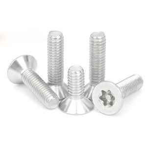 Tornillo de Cabeza Torx de Acero Inoxidable 304, Tornillo Antirrobo de Grado A2-70 - Product Image 2