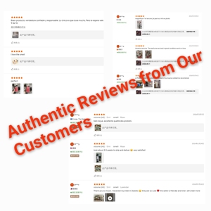 Profumatore per <span class=keywords><strong>Auto</strong></span> in Carta Naturale Ecologico a Lunga Durata (17-23 Giorni) <span class=keywords><strong>con</strong></span> Logo Personalizzato, Produzione OEM - Product Image 2