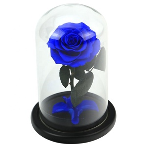 <span class=keywords><strong>Rosa</strong></span> Preservada en Cúpula <span class=keywords><strong>de</strong></span> <span class=keywords><strong>Cristal</strong></span> en Caja <span class=keywords><strong>de</strong></span> Regalo, Flor Real Estabilizada Eterna <span class=keywords><strong>con</strong></span> Tallo para Navidad, Gran Venta - Product Image 3