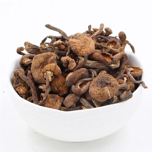 Hongos de Miel Armillaria Mellea Silvestres Comestibles Enteros y Secos al por Mayor, 100% Naturales, Marca Chengyitang, para Venta en Línea - Product Image 1