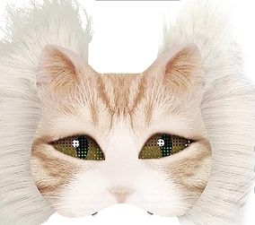 Multicolore 07