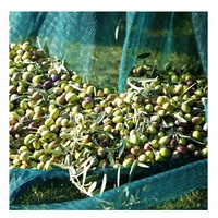 Filet de récolte d'olives en HDPE durable, exporté vers la Tunisie