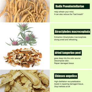 South Moon - 15 Parches para el Tratamiento de la Mala Digestión, Boca Seca, Lengua Quemada, Mal Aliento, Olor Bucal, Salud Bucal - Product Image 6