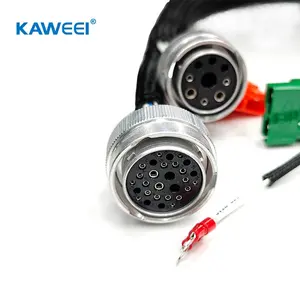 OEM Custom Auto Electrical Wiring Harness Custom Automotive Cable Assembly Electronic Wiring Harness