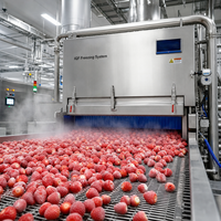 HACCP-gecertificeerde bulk IQF diepvriesaardbeien AM13 hele aardbeien zonder toevoegingen, openlucht gekweekt, merk DSF