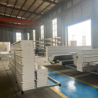 Panneaux en polystyrène de 50 mm, panneaux de plafond en polyatyrene, panneaux sandwich EPS pour la construction de maisons