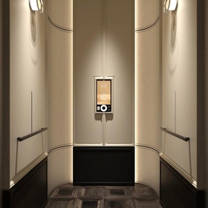 Ascensor Hidráulico para Viviendas, Fabricantes de Elevadores Hidráulicos para el Hogar de China, Elevador Interior Privado - Product Image 5