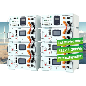 แบตเตอรี่เก็บพลังงานแบบติดตั้งบนแร็ค ราคาถูกที่สุด 0.5c 51.2V 100Ah สำหรับระบบโซลาร์บ้าน - Product Image 1