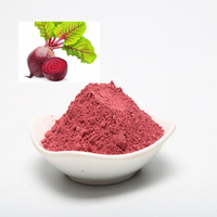 Vente directe d'usine : Poudre de racine de betterave lyophilisée de qualité alimentaire