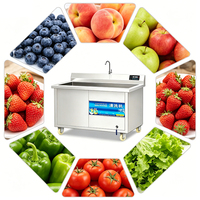 Groothandelsprijs Automatische Motor Aangedreven Ozonbelwasser Bulkbestelling Gelaagde Korting voor Distributeurs 100-500kg/u Reiniging