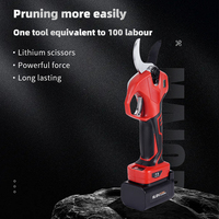 Sécateur professionnel sans fil SENGXIN 38 mm à batterie lithium, moteur brushless, affichage numérique pour jardinage