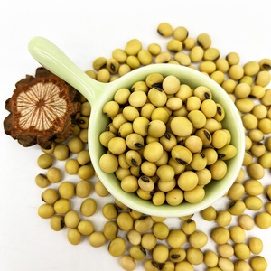 Vente en gros d'usine de soja jaune NO-GMO de haute qualité en vrac New Corp de Chine - Product Image 5