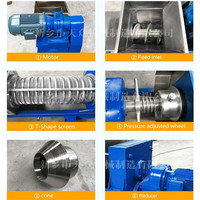 Industriële Dubbele Schroef Sinaasappelpers Fruit Koudpers Sapcentrifuge Groente Ontwateringsmachine CE