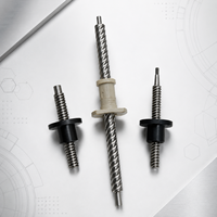 Conjunto de Tornillo de Bola Lineal CNC de Alta Precisión, Trapezoidal, de Acero Inoxidable Personalizado para Equipos de Automatización