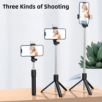 Trépied perche à selfie sans fil Bluetooth avec lumière LED et télécommande détachable, support de téléphone pour TikTok et diffusion en direct – Vente directe usine