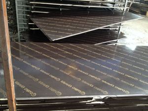 Pannello in Compensato Standard Biz con Rivestimento Impermeabile, Film Fenolico Laminato su Entrambi i Lati per Casseforme in Calcestruzzo - Product Image 3