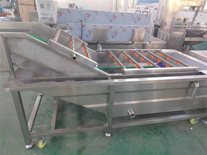 Hot Sale <strong>Vegetable</strong>/Fruits/Mushroom <strong>Production</strong> SUS 304 Material Bubble Washing/Cleaning Line - Product Image 2