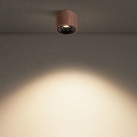 Petit tube lumineux LED décoratif moderne en bois de noyer Plafonnier Plafonnier Luminaire de plafond Haute efficacité Spot de cuisine