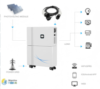 Système de charge solaire photovoltaïque hors réseau Shipstrive nouvelle interface TYPE2, onduleur 6,2 kWh, batterie LifePO4 tout-en-un avec pistolet à double tête