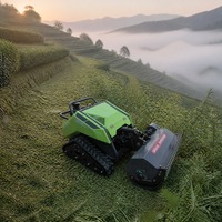 OEM ODM Mesin Pemotong Rumput Diesel Crawler Remote Control yang Dapat Disesuaikan, Mini Cultivator untuk Pekerjaan Pembersihan Rumput di Berbagai Medan