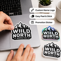 Pegatinas de Vinilo Personalizadas, Recortadas a Troquel, Impermeables, con Logotipo Holográfico para Laptop, Botella de Agua, Patineta, Marca de Pequeños Negocios, Cualquier Tamaño y Forma