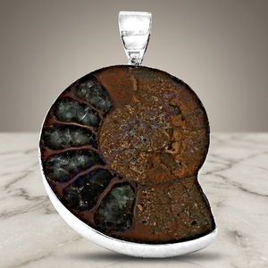 R Art Palace - Colgante de Amonita Natural, Chapado en Plata, Acero Inoxidable, Estilo Vintage, Joyería Unisex para Regalo - Product Image 1