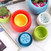 Mini Pot de fleurs rond en plastique, plantes succulentes, Cactus, Pot en plastique coloré pour la maison, le bureau et le jardin