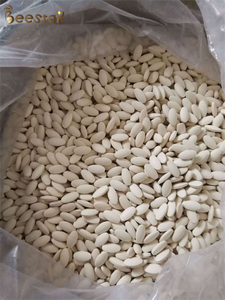 10-HDA:5% saf taze arı sütü liyofilize tablet - Product Image 2