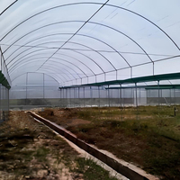 Serre agricole en polycarbonate multi-spans bon marché pour la culture de fraises
