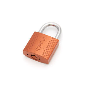 फैक्ट्री हॉट सेलिंग क्वालिटी फाइन पॉलिशिंग एंटी-चोरी 3-कुंजी लॉक कांस्य-कोर्ड सफारी सस्ते मूल्य लौह पैडलॉक - Product Image 6