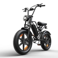 Vélo Électrique en Promotion 750W 48V 15AH Batterie Ebike Pneus Larges VTT Tout-Terrain Moto Électrique pour Adulte