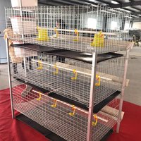 Vente Directe Fabricant Garantie Un An Poulailler Grande Cage à Poulets Équipement Avicole pour Poules Pondeuses Élevage de Poulets