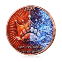 Pièce commémorative personnalisée OEM ODM en cuivre fin 99,9 % de 1 oz, ronde, colorée, motif Ours Feu et Glace, endurance