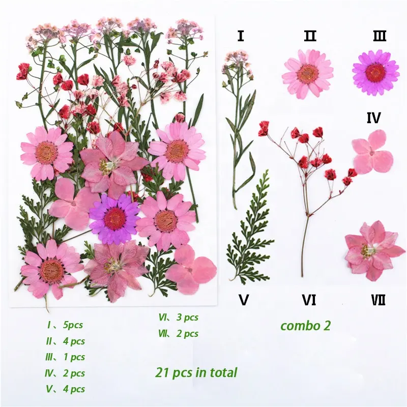 البرية الزخرفية الوردي الحلو alyssum ديزي الكوبية ديلينيوم العينات النباتية الحقيقية ضغطت زهور مجففة لصنع الصابون