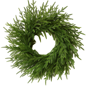 Ghirlanda verde ecologica <span class=keywords><strong>per</strong></span> ghirlanda <span class=keywords><strong>di</strong></span> pino artificiale Norfolk realistica da 24 pollici <span class=keywords><strong>per</strong></span> la <span class=keywords><strong>porta</strong></span> d'ingresso interna esterna <span class=keywords><strong>per</strong></span> le vacanze - Product Image 1