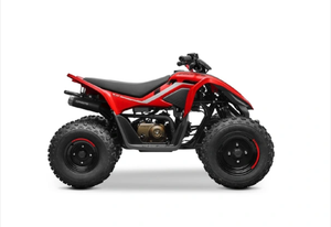 Motor CF0RCE 110 Premium, Monocilíndrico, 4 Tiempos, 107cc, Tipo DIY, Mango de Plástico, Frenos de Disco Hidráulicos OEM/ODM - Product Image 2