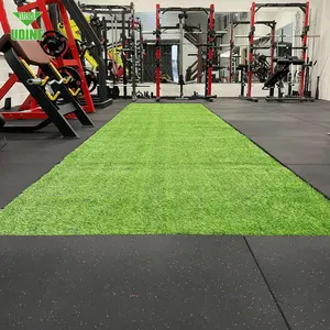 Disesuaikan Plastik Dalam Ruangan Gym Kebugaran Olahraga Skala Sintetis Rumput Karpet Palsu Gym Rumput Sintetis Lantai Rumput untuk Kebugaran