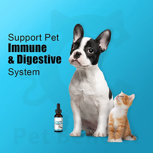 Huile de graines de chanvre OEM/ODM avec vitamines C et E <span class=keywords><strong>pour</strong></span> chiens et chats - Liquide apaisant <span class=keywords><strong>naturel</strong></span> à absorption rapide et soulagement de l'anxiété - Product Image 2