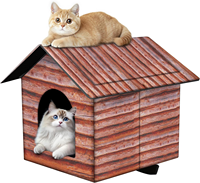 Buitenkattenhuis voor binnen en buiten gebruik - Waterdichte schuilplaats voor katten, honden en wilde dieren