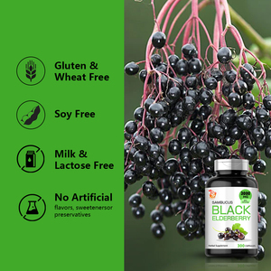 OEM Private Label 1000mg Organic Black Elderberry Supplement for Immune Support Boost Energy Elderberry Capsules - Product Image 4