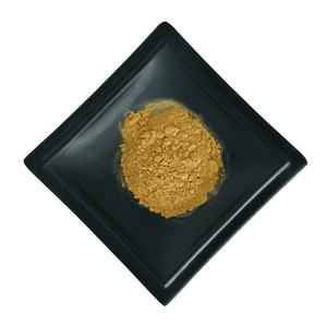 Panax <span class=keywords><strong>Notoginseng</strong></span>葉エキス粉末20%-80% Notoginsenoside - Product Image 3